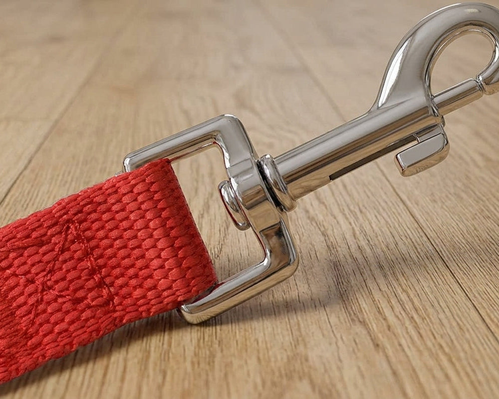 Long Dog Training Leash, 30 ft