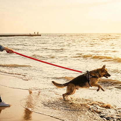 Long Dog Training Leash, 30 ft