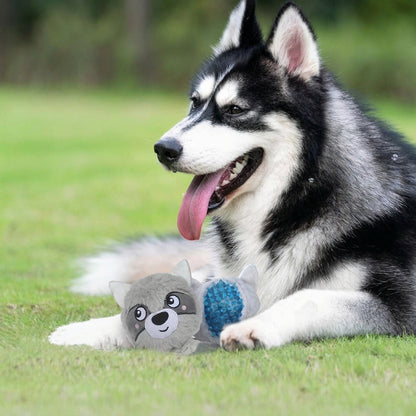 3-in-1 Squeaky Dog Ball