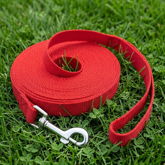 Long Dog Training Leash, 30 ft